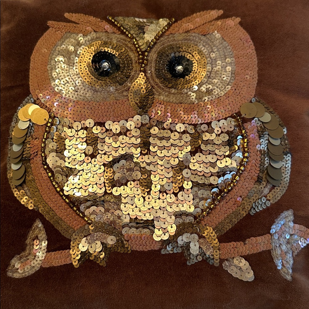 Pier 1 Imports Beaded Sequin Owl Brown Velvet Pillow 14" Square Fall Decor - Picture 2 of 13